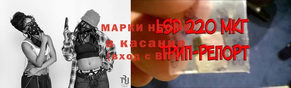 сатива Богданович
