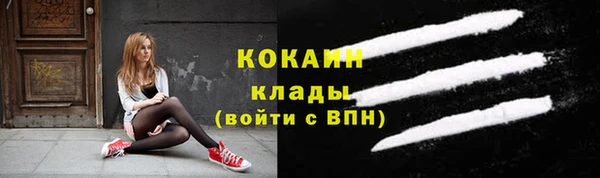 бошки Богородицк
