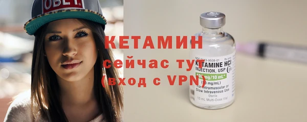 сатива Богданович
