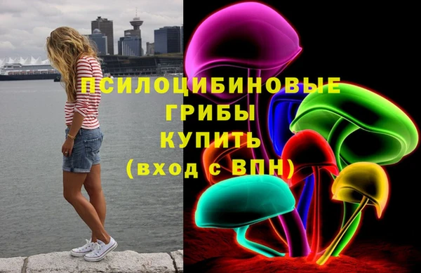 бошки Богородицк
