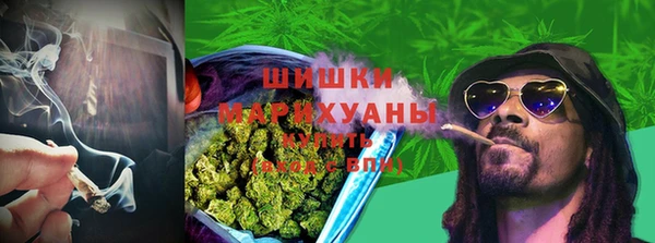 сатива Богданович