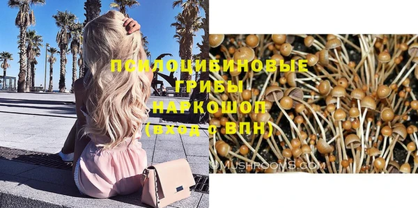 бошки Богородицк