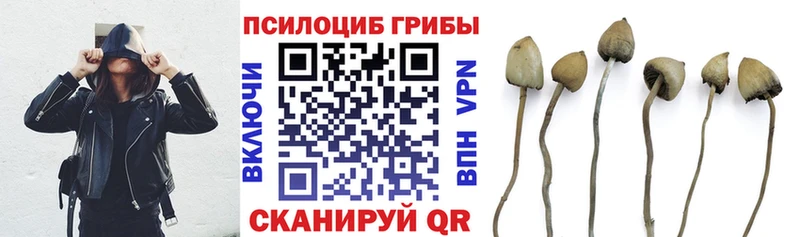 blacksprut   наркотики  Вуктыл  Псилоцибиновые грибы мицелий 